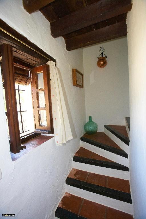 Hotel Enrique Calvillo El Bosque Pokoj fotografie