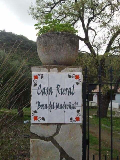 Hotel Enrique Calvillo El Bosque Pokoj fotografie